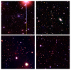 Рис. 1. Примеры оптического отождествления массивных скоплений галактик на высоких красных смещениях, z ≈ 0,8. Членами скоплений являются красные галактики в центрах изображений — члены скоплений; белым цветом показаны более близкие объекты. Изображение из статьи Burenin et al. Optical identifications of high-redshift galaxy clusters from Planck Sunyaev-Zeldovich survey